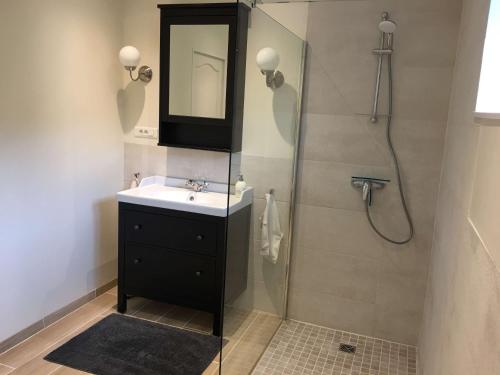 a bathroom with a sink and a shower with a mirror at Domaine de la Bade in Raissac-sur-Lampy