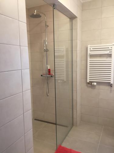 W łazience znajduje się prysznic ze szklanymi drzwiami. w obiekcie Stafholtsey w mieście Borgarnes