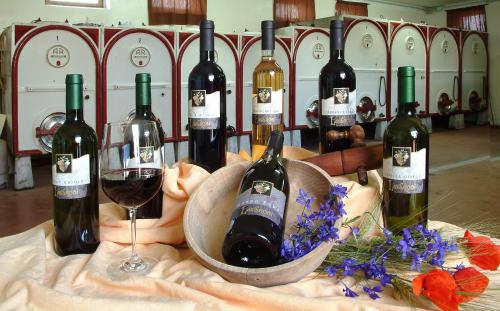 a bunch of wine bottles and a glass of wine at Cascina Lavaroni in Buttrio