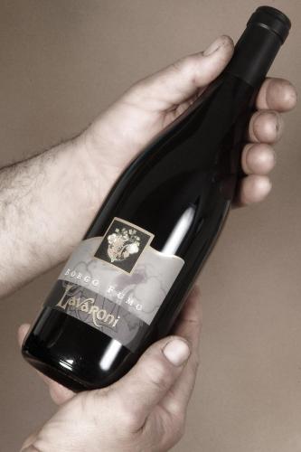 a person holding a cell phone in their hand at Cascina Lavaroni in Buttrio