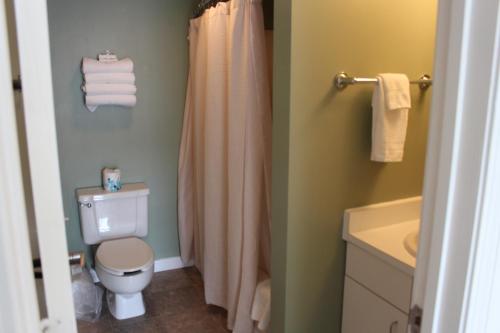 y baño con aseo, lavabo y ducha. en Town Square Condominiums, en Waterville Valley
