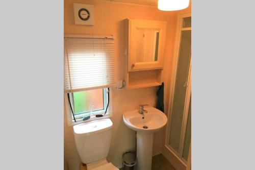 a small bathroom with a toilet and a sink at Heerlijke accommodatie op de Hoge Veluwe in Hoenderloo