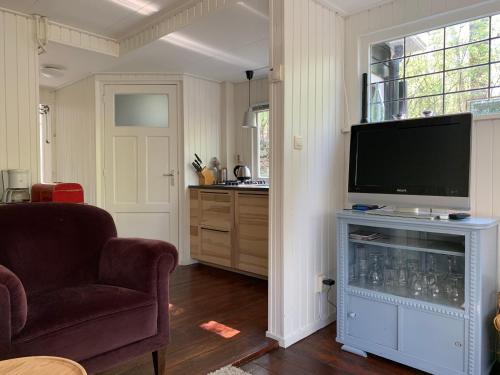 een woonkamer met een tv en een bank en een stoel bij vakantiewoning De Lutte in De Lutte