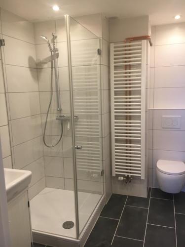 a bathroom with a shower and a toilet at Huck’s Ferienhäuser in Borstel