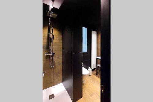 a bathroom with a shower and a toilet at LOFT MON in Zaragoza