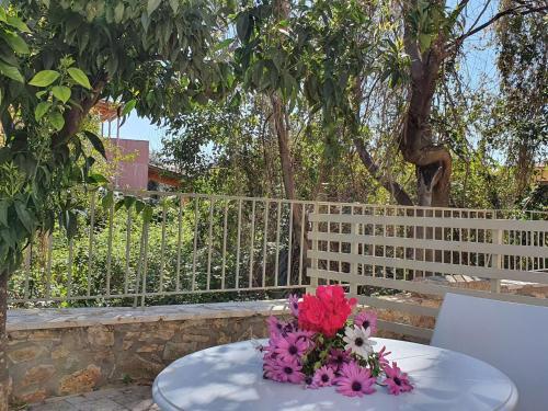 Κήπος έξω από το Tasos Rooms