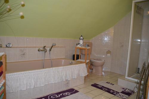 a bathroom with a bath tub and a toilet at Ferienhaus Linde am Bleßberg in Schirnrod