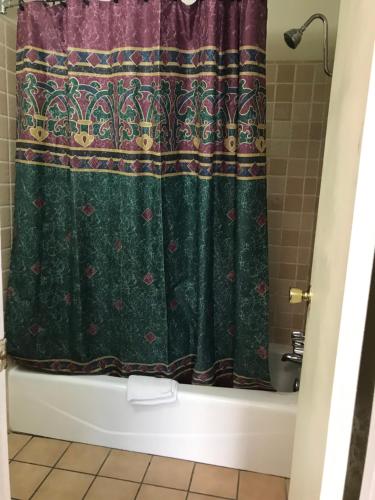 a bathroom with a green shower curtain and a tub at Budget Inn Parker in Parker