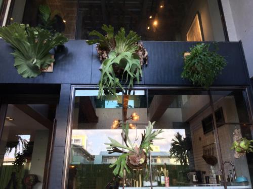 a bunch of potted plants sitting on a shelf at PAPO'A Hotel in Kaohsiung