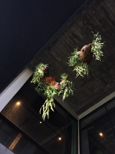 a group of potted plants hanging from the ceiling at PAPO'A Hotel in Kaohsiung