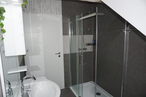 W łazience znajduje się prysznic i umywalka. w obiekcie Außergewöhnliche Dachgeschosswohnung w mieście Königslutter am Elm