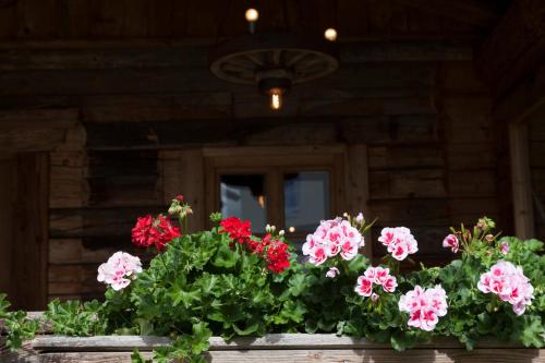 a flower box with pink and red flowers in front of a building at Urlaubsland Sonnfeld in Flachau