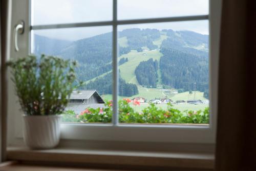 a window with a potted plant on a window sill at Urlaubsland Sonnfeld in Flachau