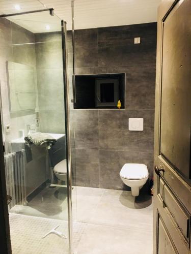 La salle de bains est pourvue d'une douche et de toilettes. dans l'établissement Gîte L Atelier du Peintre, à Saint-Maurice-de-Lignon