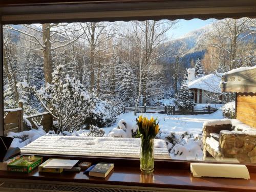 a window with a view of a snow covered yard at Tumitak Sarnia Family & Friends in Karpacz