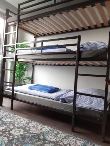 a bunk bed room with two bunk beds at Apartments- stilvolles 95 qm mit Balkon und Parkplatz in Augsburg