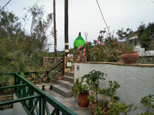 a set of stairs with potted plants on it at Armenistis View Studios in Armenistis
