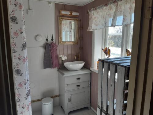 niewielka łazienka z umywalką i oknem w obiekcie Smultronbacken w mieście Eljaröd