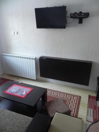 TV a/nebo společenská místnost v ubytování Apartments Vuković