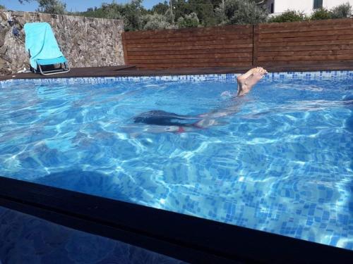 a dolphin swimming in a swimming pool at Casa do Trapo in Abrantes