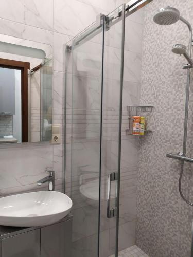 a bathroom with a sink and a glass shower at RynOK 25 Elite Lviv Center in Lviv