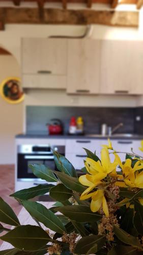 Una cocina o zona de cocina en Agriturismo I Cedri