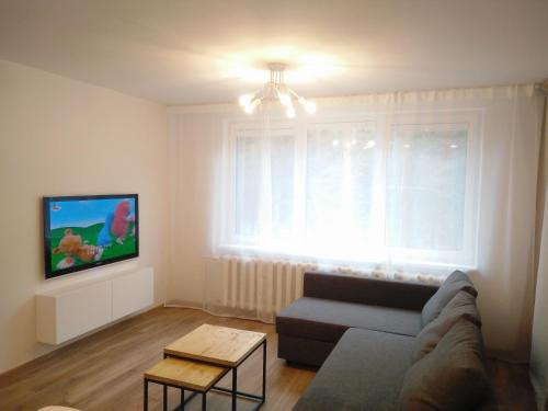 TV a/nebo společenská místnost v ubytování Juodrakantė & Neringa apartment