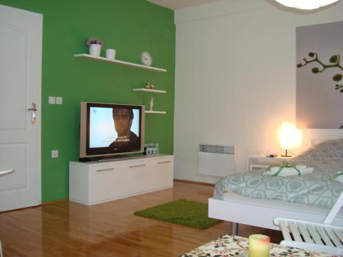 a bedroom with a television on a dresser with a bed at Apartments Nela in Ohrid