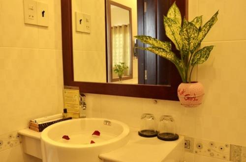 a bathroom with a sink and a mirror and a potted plant at Hau Giang 2 Hotel in Can Tho