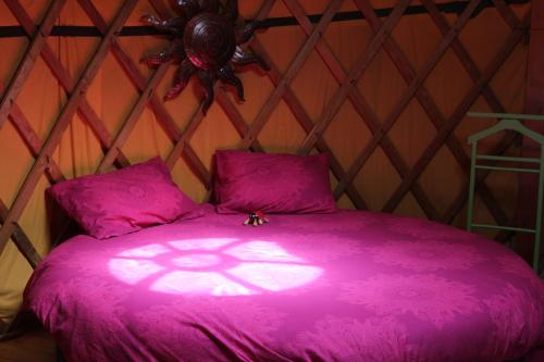 a room with a bed with a pink comforter at yourtes coccinelles in Conchez-de-Béarn