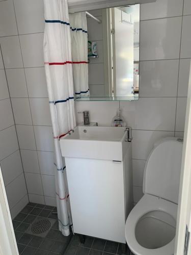 ein Badezimmer mit einem WC, einem Waschbecken und einem Spiegel in der Unterkunft Lyckorna 62:2 in Ljungskile