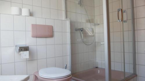 a bathroom with a toilet and a glass shower at Haus Johanna in Glottertal