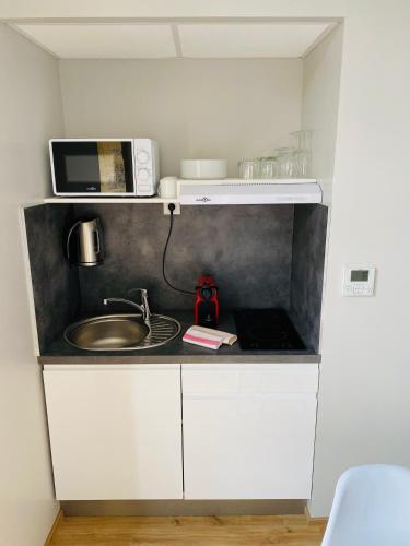 a small kitchen with a sink and a microwave at Sarlat.Catalina in Sarlat-la-Canéda
