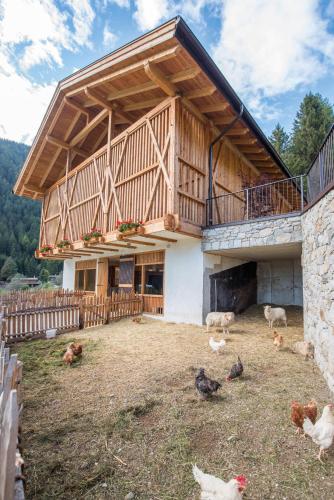 a barn with chickens in front of a building at Familienhotel Huber in Valles