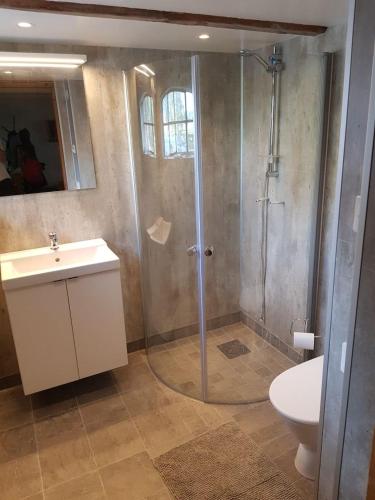 een badkamer met een douche, een wastafel en een toilet bij Annexet in Annelöv