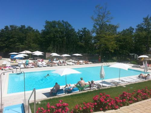 a group of people sitting around a swimming pool with umbrellas at Safaritent Glamping Orlando in Chianti in Cavriglia