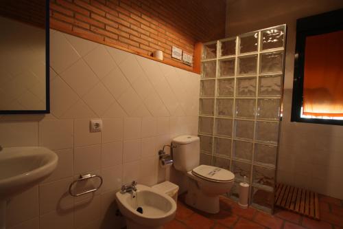 y baño con aseo y lavamanos. en Casa Rural Apartamento "Isla del Zújar", en Castuera