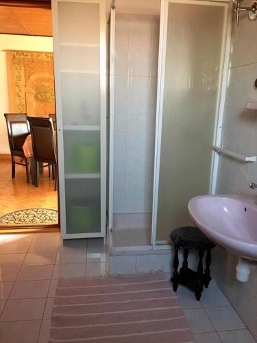 a bathroom with a sink and a shower at Helga Vendégház in Budaörs