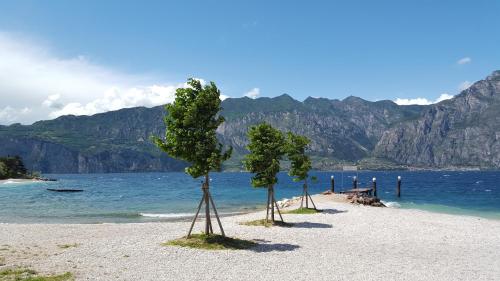 two trees on a beach next to the water at Albergo San Remo in Malcesine