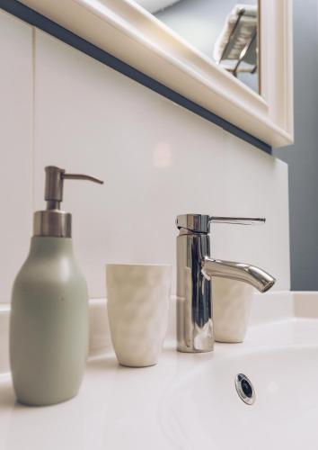 - un comptoir de salle de bains avec un distributeur de savon et un lavabo dans l'établissement Plumes & Coton, à Écurie