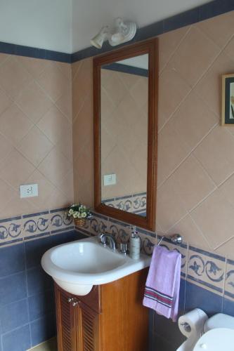 a bathroom with a sink and a mirror at Paraiso Encontrado in Benavídez