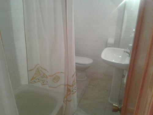 a bathroom with a toilet and a shower curtain at Hostal Restaurante Los Bronces in Riópar