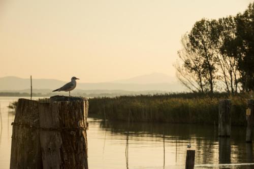 Fotografie z fotogalerie ubytování Isola Polvese Resort v destinaci Castiglione del Lago