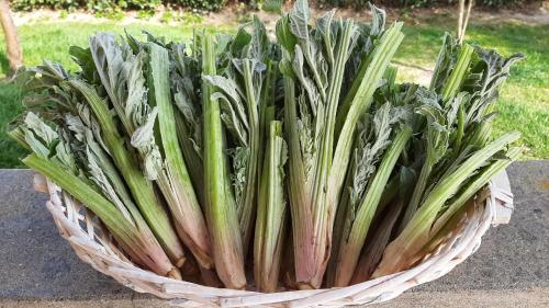 a basket full of green onions sitting on a table at Agriturismo Corte degli Angeli in Marina di Grosseto