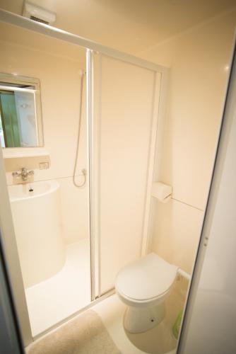 a white bathroom with a toilet and a shower at Camping du Château Vert in Hondainville