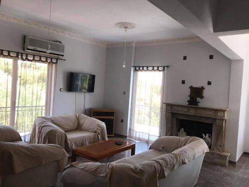 sala de estar con 2 sofás y chimenea en Kessaris Apartments, en Chrani