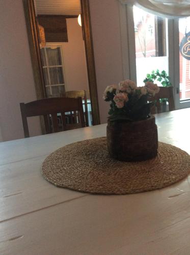 een potplant op een tafel bij Pastella in Turku