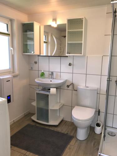 La salle de bains est pourvue de toilettes et d'un lavabo. dans l'établissement Ferienbungalow Grünbach, à Grünbach