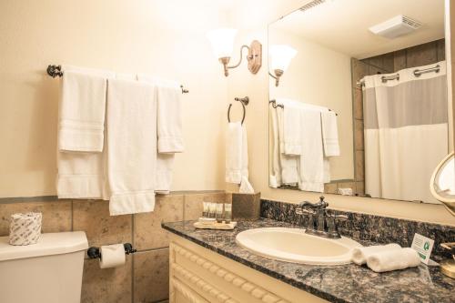 La salle de bains est pourvue d'un lavabo, de toilettes et d'un miroir. dans l'établissement Lajitas Golf Resort, à Terlingua