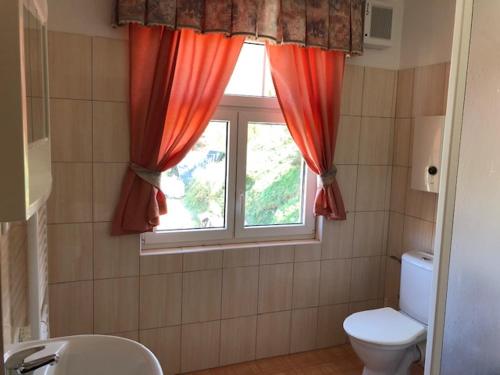 a bathroom with a toilet and a window at Penzion Na Prachárně in Kladruby